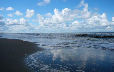 ANPC face verificari pe litoral