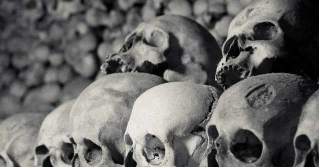  Top  TOP 7 cele mai periculoase boli din istoria omenirii