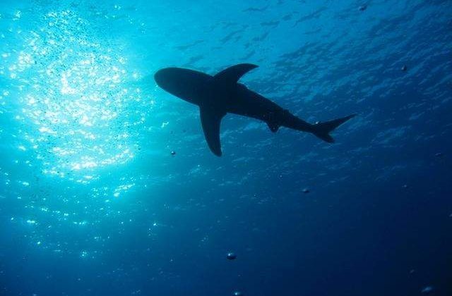 Fata infricosatoare a lumii! Cele mai banale lucruri, mai periculoase decat crezi