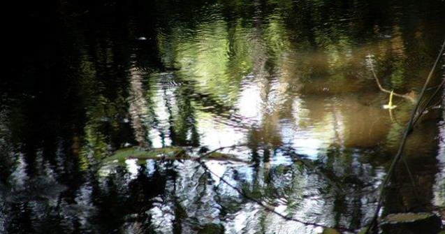  Top  Stiinta NU le poate explica! Mistere fascinante ale vietii