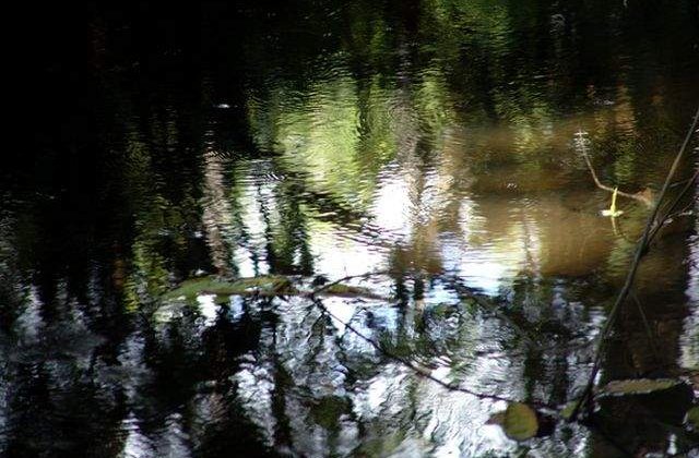 Stiinta NU le poate explica! Mistere fascinante ale vietii