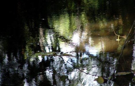  Top  Stiinta NU le poate explica! Mistere fascinante ale vietii