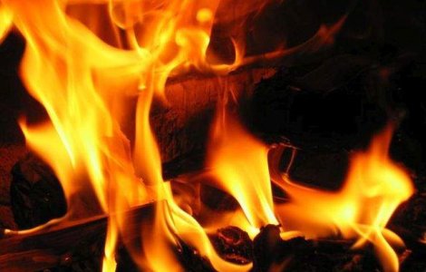 Noi incendii de vegetatie in zona interzisa din Cernobil