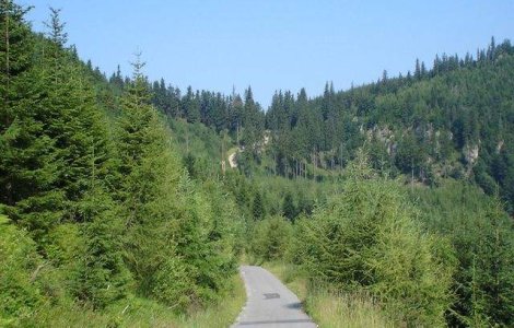 Pilotul planorului disparut, cautat pe trasee montane din opt judete