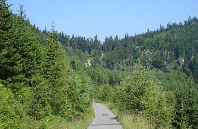 Pilotul planorului disparut, cautat pe trasee montane din opt judete