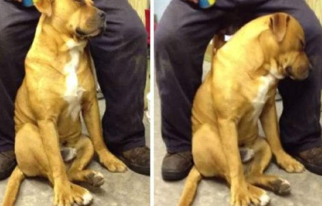  Video  Ai nevoie de doar cateva secunde pentru a-ti face ziua mai frumoasa. Iti garantez!