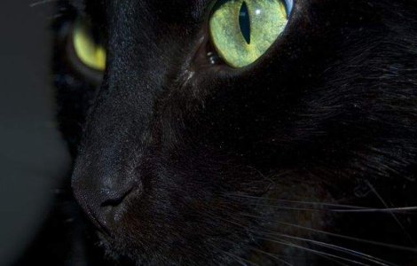  Top  Crezi in ele? Originile uimitoare ale celor mai comune SUPERSTITII