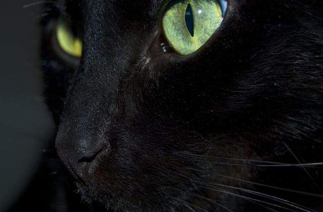 Si tu crezi in ele? Originile surprinzatoare ale celor mai comune SUPERSTITII