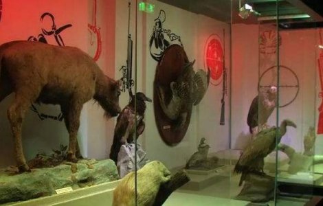  Top  Noi am fost primii! Inventii ale romanilor care au schimbat lumea: Diorama