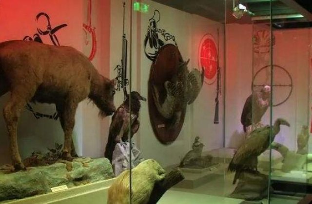 Noi am fost primii! Inventii ale romanilor care au schimbat lumea: Diorama