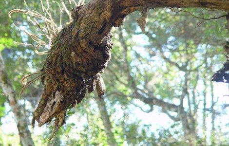  Top  Ai observat asta pana acum? Fata ASCUNSA a lucrurilor de zi cu zi