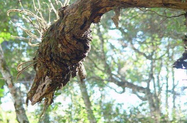 Ai observat asta pana acum? Fata ASCUNSA a lucrurilor de zi cu zi