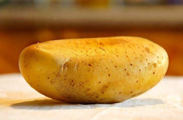 Din tainele stiintei: Cum se transforma cele mai banale lucruri in ceva GENIAL