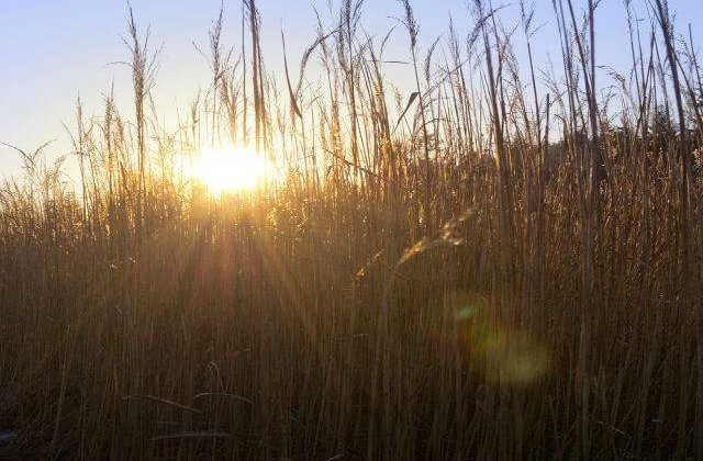 Val de caldura PERSISTENT la sfarsitul saptamanii. Ce judete vor fi afectate