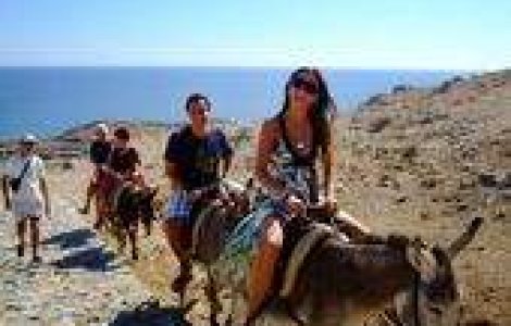 Se casatoresc pe stadion