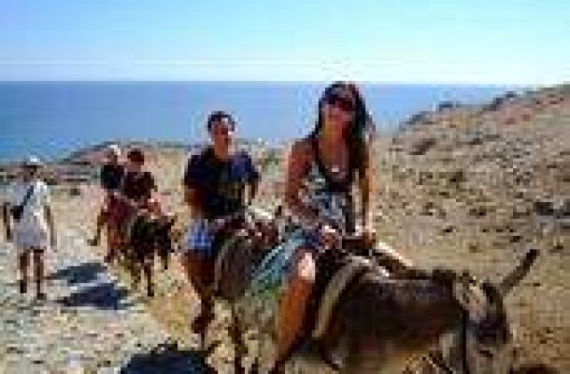 Se casatoresc pe stadion