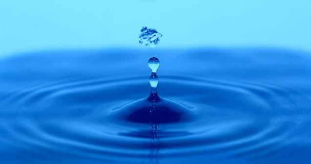 Compania Rio Bucovina, preluata de Grupul Maspex Wadowice