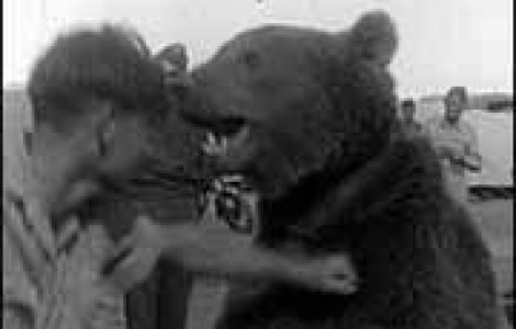 Povestea lui Voytek, Ursul soldat