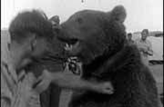 Povestea lui Voytek, Ursul soldat