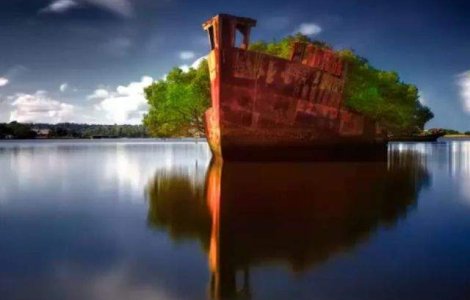  Top  Sunt magice! Locuri abandonate de om, REINVIATE de natura