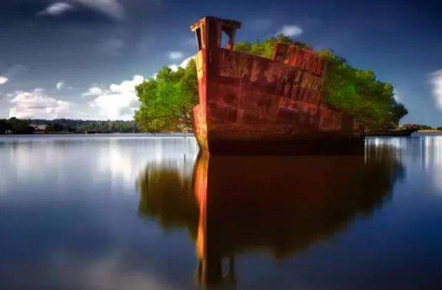 Sunt magice! Locuri abandonate de om, REINVIATE de natura