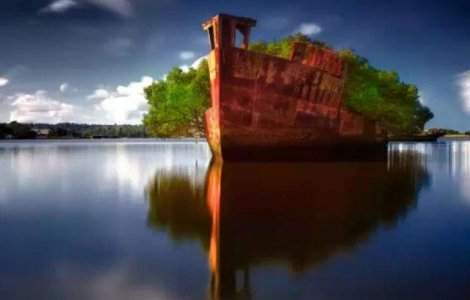  Top  Sunt magice! Locuri abandonate de om, REINVIATE de natura