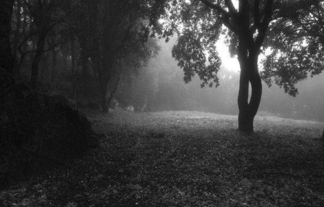  Top  Te INFIOARA! Aparitii stranii ale stafiilor, surprinse pe camera