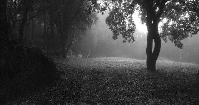  Top  Te INFIOARA! Aparitii stranii ale stafiilor, surprinse pe camera