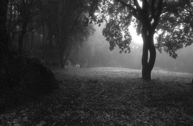 [Video] Te INFIOARA! Aparitii stranii ale stafiilor, surprinse pe camera