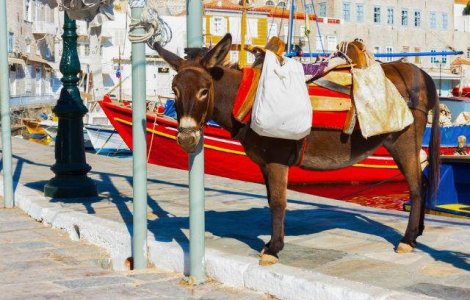  Top  Uitate in timp: 7 insule unde accesul masinilor este INTERZIS