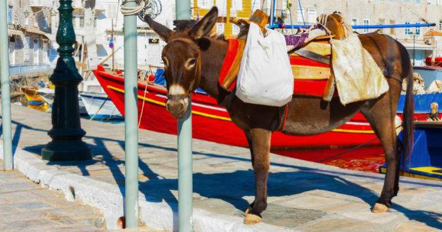  Top  Uitate in timp: 7 insule unde accesul masinilor este INTERZIS