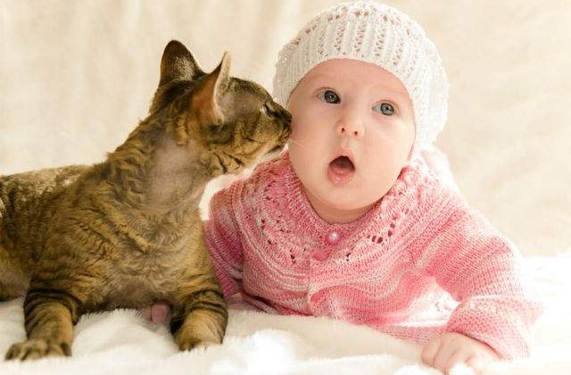 [VIDEO] Cum reactioneaza un bebelus cand vede pentru prima data pisica familiei