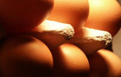 Tone de carne, lactate si oua, confiscate pe litoral dupa un control al DSVSA Constanta