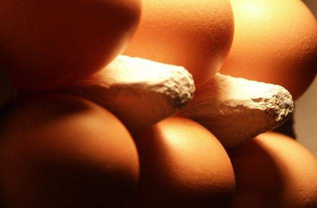 Tone de carne, lactate si oua, confiscate pe litoral dupa un control al DSVSA Constanta