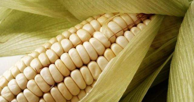 Care sunt cele mai mari pierderi din cauza secetei