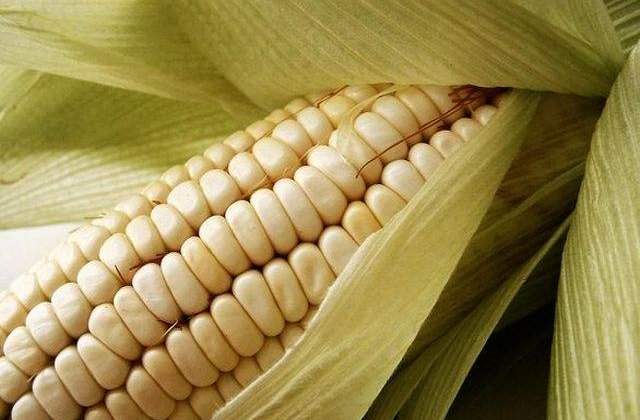 Constantin: Cele mai mari pierderi din cauza secetei, la porumb, floarea soarelui si soia