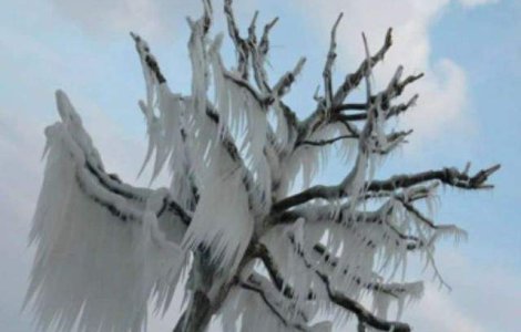  Top  Enigmele lumii: Fenomene naturale STRANII, greu de explicat de stiinta