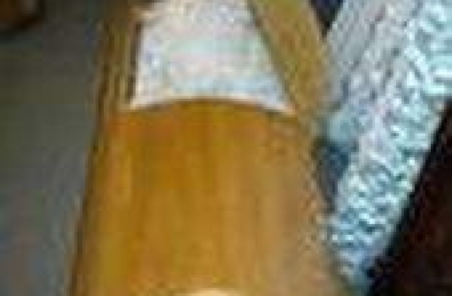 Terapie de succes: o scurta vizita in cosciug