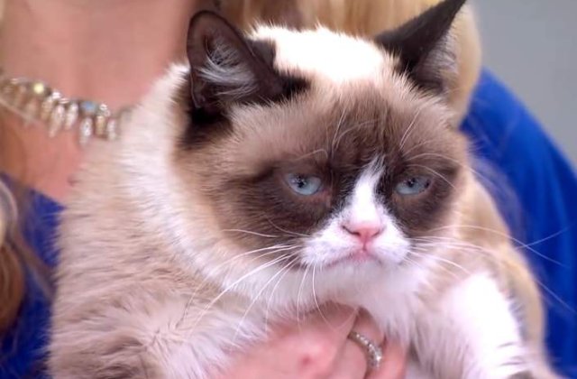 Grumpy Cat, prima felina care va avea o statuie din ceara