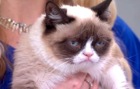 Grumpy Cat, prima felina care va avea o statuie din ceara