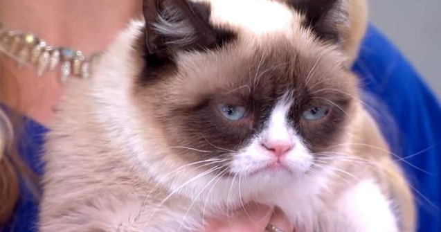 Grumpy Cat, prima felina care va avea o statuie din ceara
