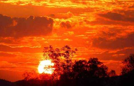 Atentionare COD GALBEN de canicula in weekend. HARTA zonelor vizate