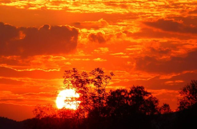 Atentionare COD GALBEN de canicula in weekend. HARTA zonelor vizate