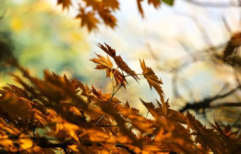  Top  Scapam de CANICULA? Ce temperaturi aduc primele saptamani de toamna