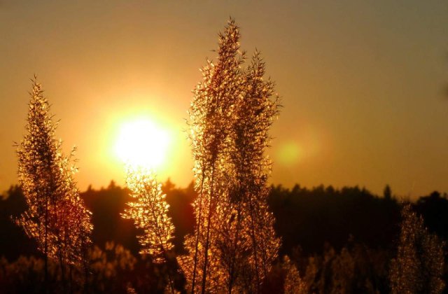 Avertizare COD PORTOCALIU de canicula in 16 judete ale tarii. Care sunt zonele vizate