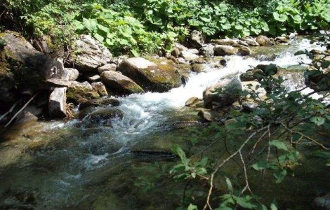  Top  Descopera-ti tara! Frumusete salbatica in inima muntilor: Cheile Jietului