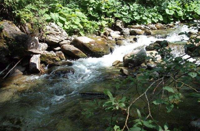 Descopera-ti tara! Frumusete salbatica in inima muntilor: Cheile Jietului