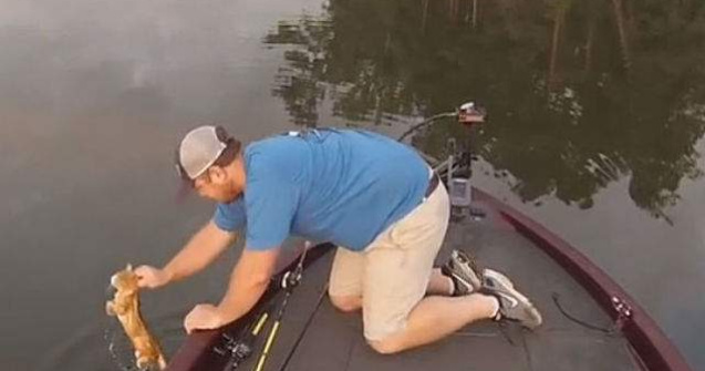  Video  Acesti barbati au plecat la pescuit. Uite cu ce s-au intors