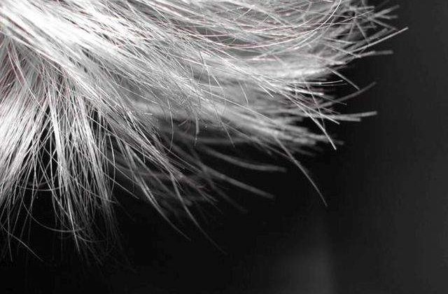 Nu neglija semnele! Ce PROBLEME de sanatate poate indica fragilitatea parului