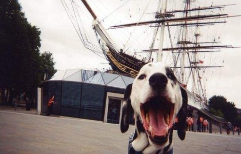  Top  Lumea vazuta prin ochii cersetorilor: 9 fotografii spectaculoase